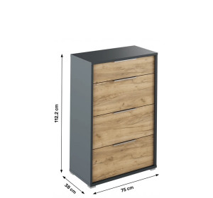 RIOMA NEW grafit/dub artisan 22, komoda