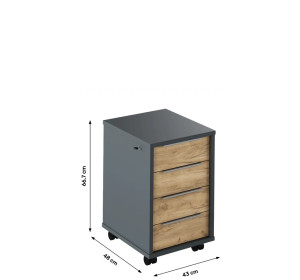 RIOMA NEW grafit/dub artisan 30, kontajner so zámkom