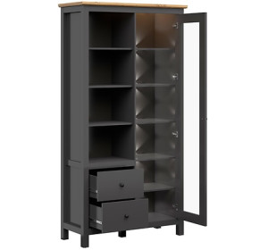 HESEN grafit/dub artisan REG1W2S/20/11, vitrína