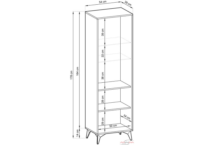 DARCO W54, vitrína