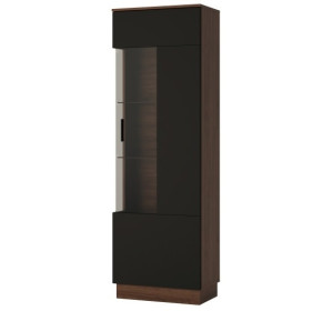 ANICA V01P, vitrína