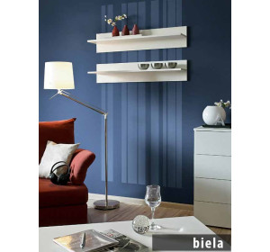 ASM polica II (sada 2 ks)